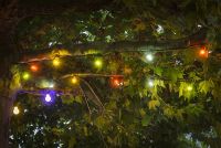 LED-Gartenlichterkette-10-flammig-bunt-Konstsmide-2378-500